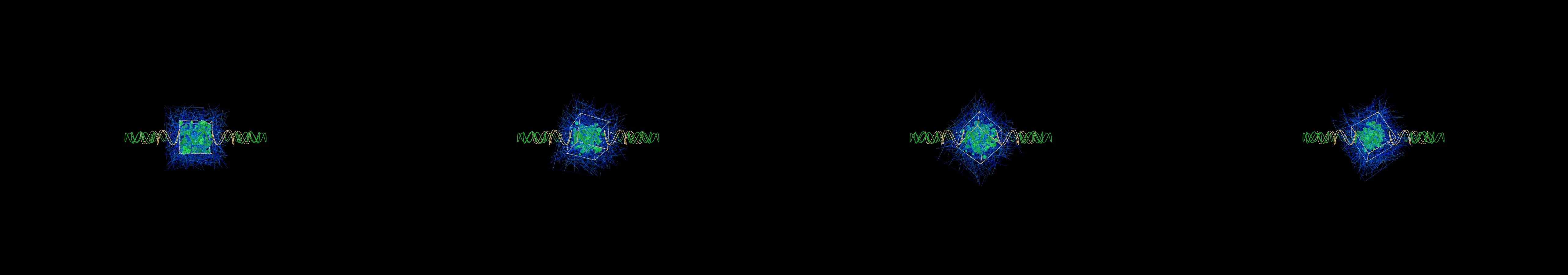 four frames from entry 1144