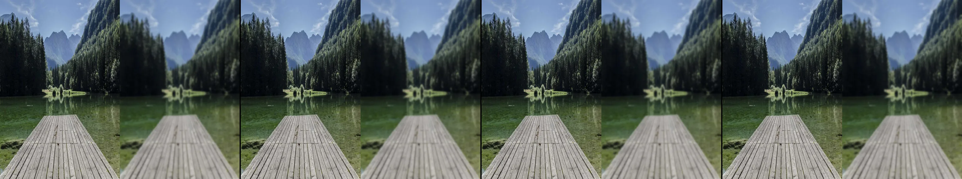four frames from make two frames. fill one with a beautiful photo. fill the other with your painting of the photo. under a synthetic pointer