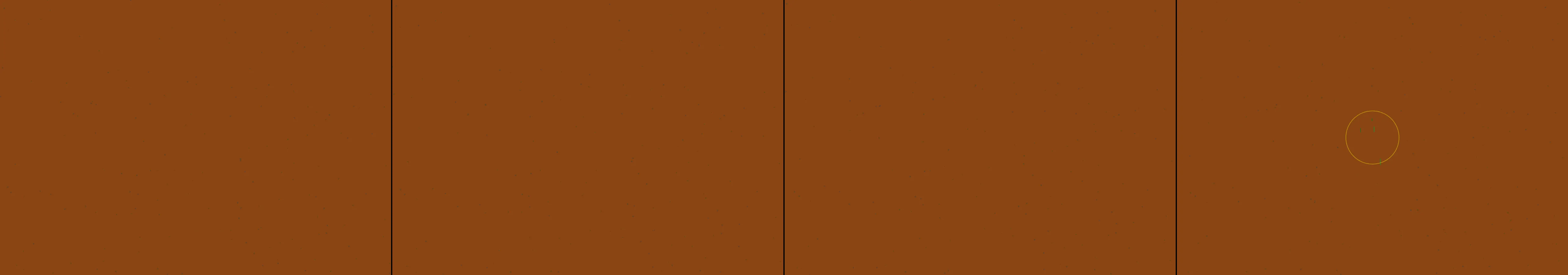 four frames from entry 1521