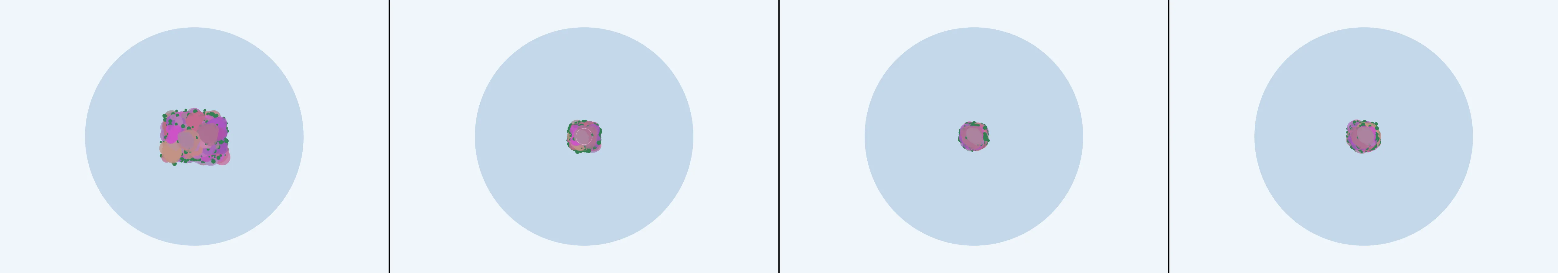four frames from rhododendrons under a synthetic pointer