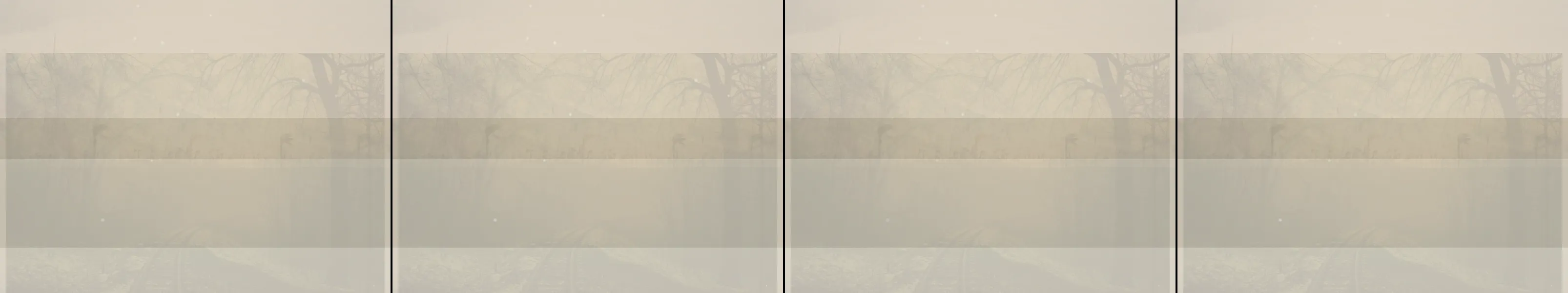 four frames from entry 2021