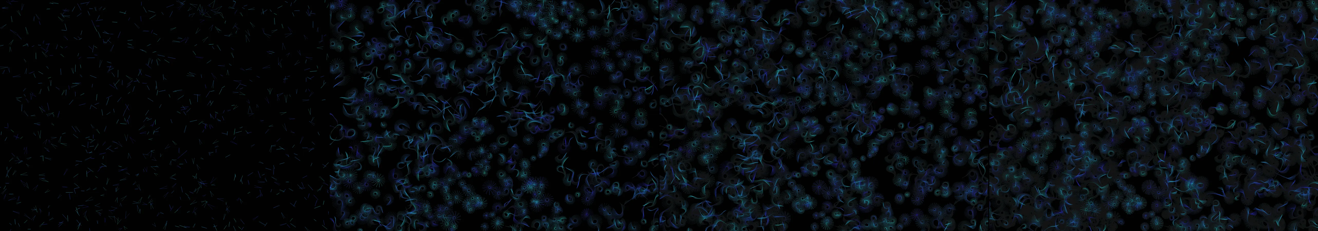 four frames from entry 2165