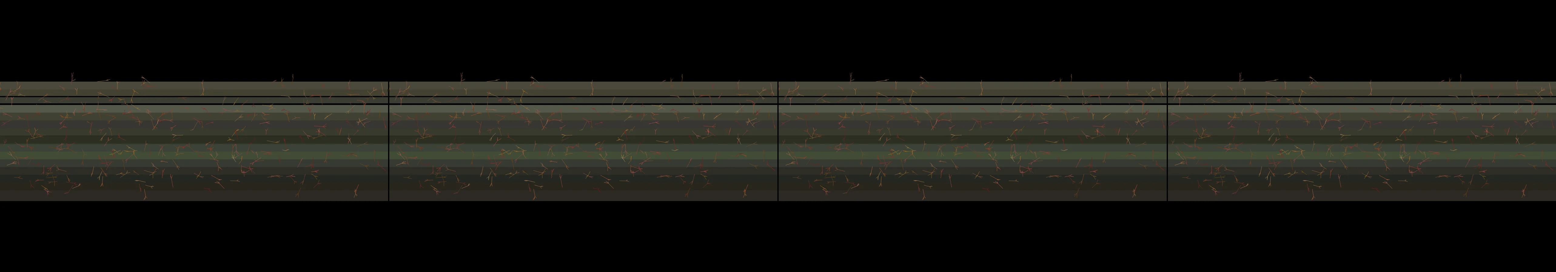 four frames from entry 2204
