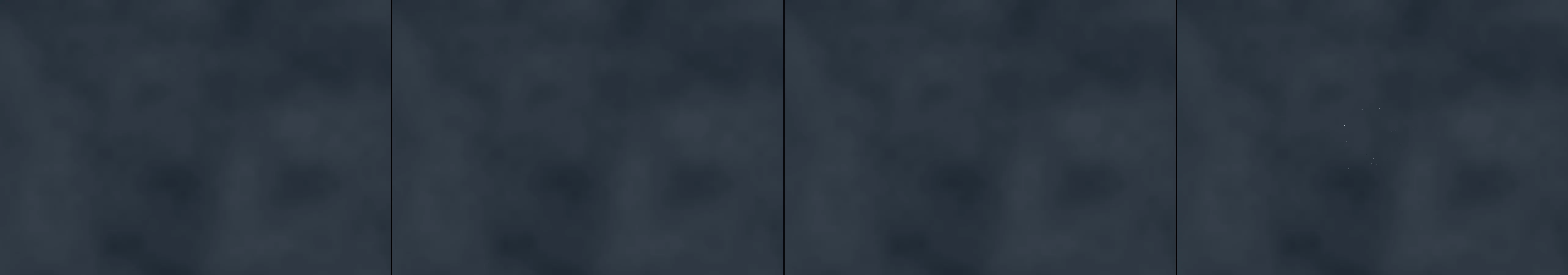 four frames from entry 2219