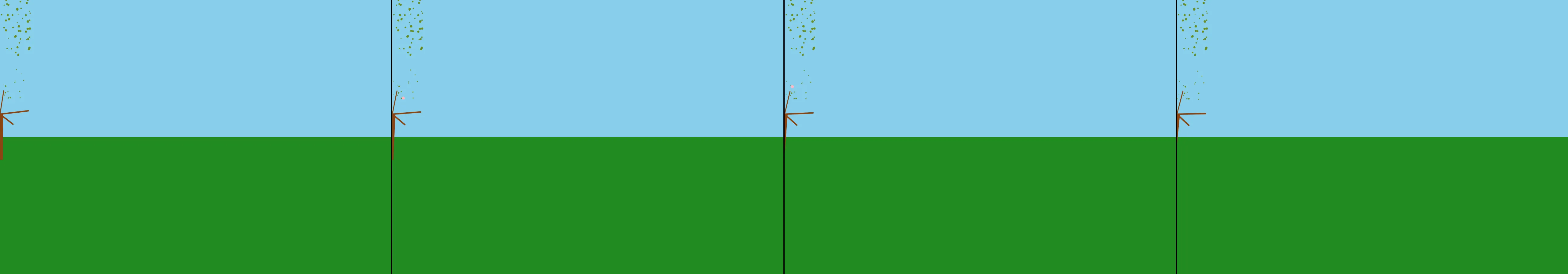 four frames from entry 243