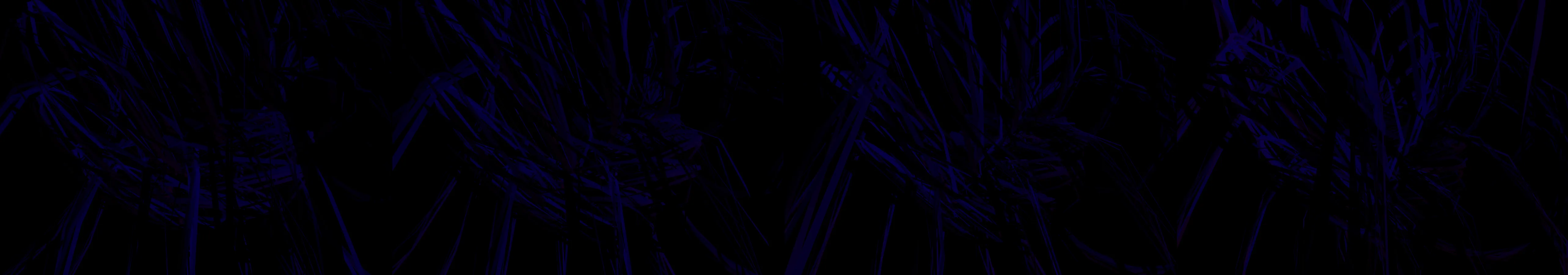 the first frame of entry 39