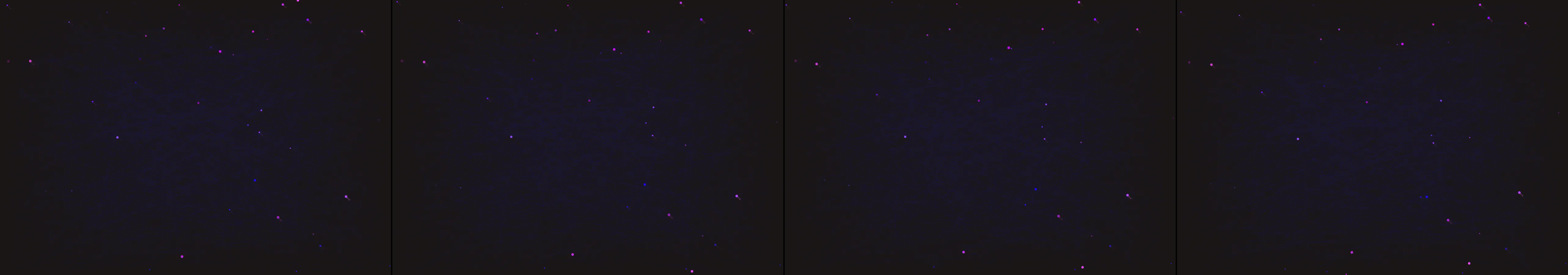 four frames from entry 485
