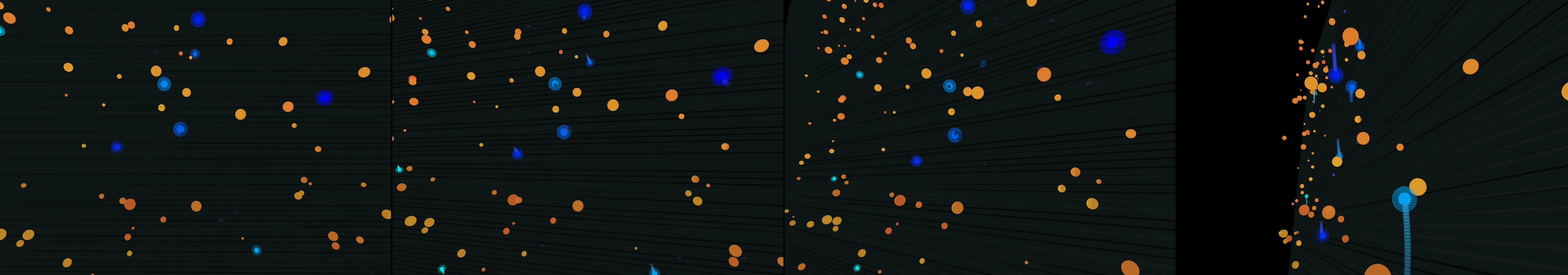the first frame of entry 51