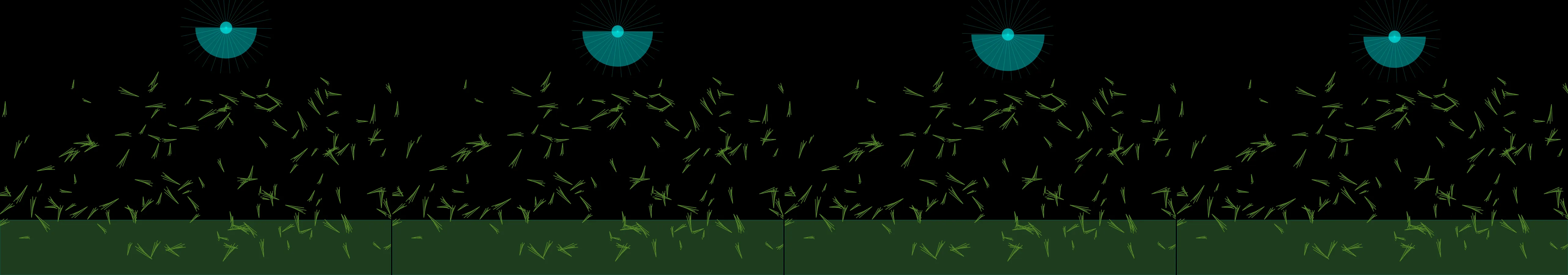 the first frame of entry 994